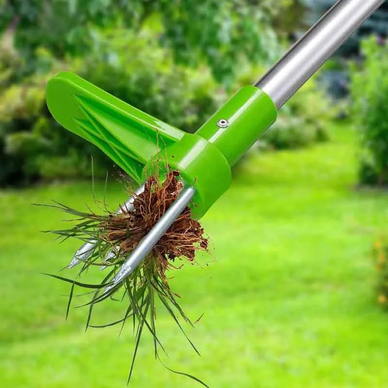 Weed Remover