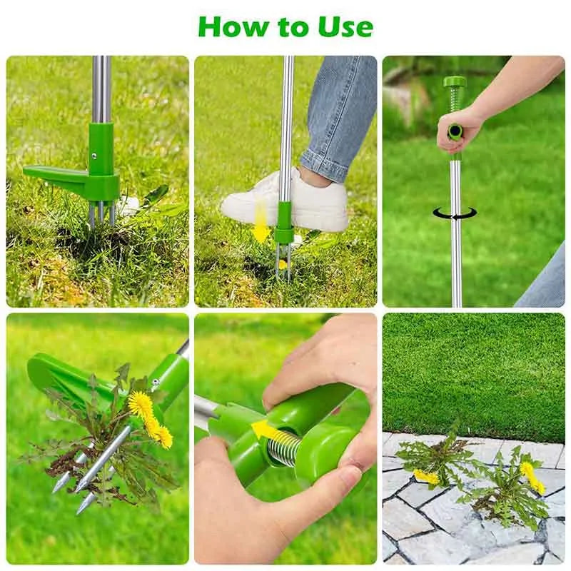 Weed Remover